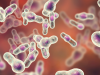 Trastornos que causa la bacteria Clostridium Perfringens y donde se puede contraer… ¡Infórmate!