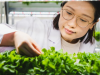 Contaminación de plomo en los Alimentos