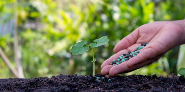Uso de Fertilizantes y daños ambientales