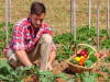 Agricultura Orgánica en México