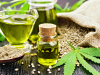 Determinación de compuestos derivados de la Cannabis