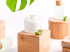 Tendencia de consumo: Cosméticos veganos
