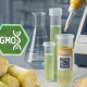 GMOs en productos derivados de la caña de azúcar: regulación, trazabilidad y desafíos analíticos para 2026