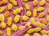 Como los empaques de alimentos pueden afectar nuestro microbioma