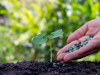 Uso de Fertilizantes y daños ambientales