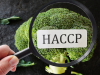 ¿Como le apoyamos en su HACCP ?