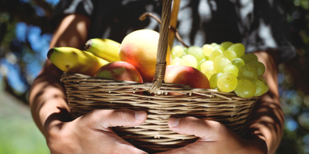 Biotecnología y una fruticultura sostenible