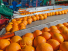 Procesamiento de Frutas y Verduras