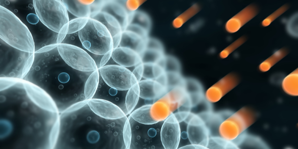 Compuestos Bioactivos en los Alimentos