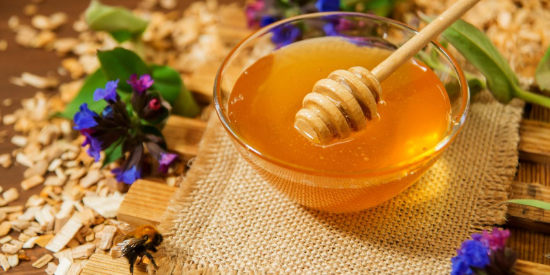 C.C. Plaza Mayor - Muchos beneficios y propiedades de la miel pura de las  abejas 🍯🐝en la salud humana, tanto como uso tópico como consumo de  alimento. La puedes encontrar e @laestanciafrutossecos