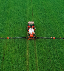 ¿Qué son los pesticidas y para qué sirven?