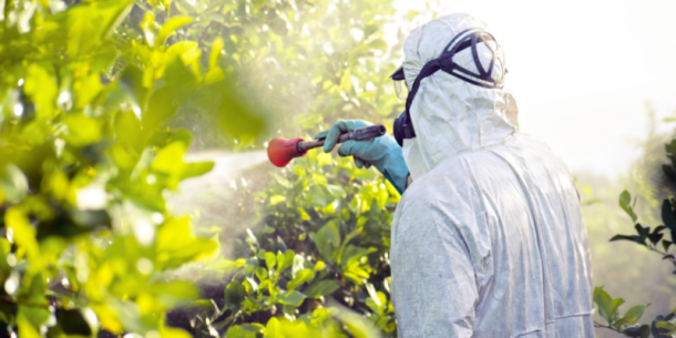 Ingredientes activos en plaguicidas
