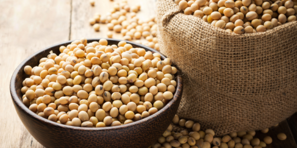 Seguridad alimentaria y servicios analíticos en soja y subproductos