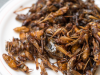 Insectos ¿Alimento Nutritivo para Consumidores Europeos?