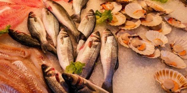 Contaminantes en mariscos y productos del mar