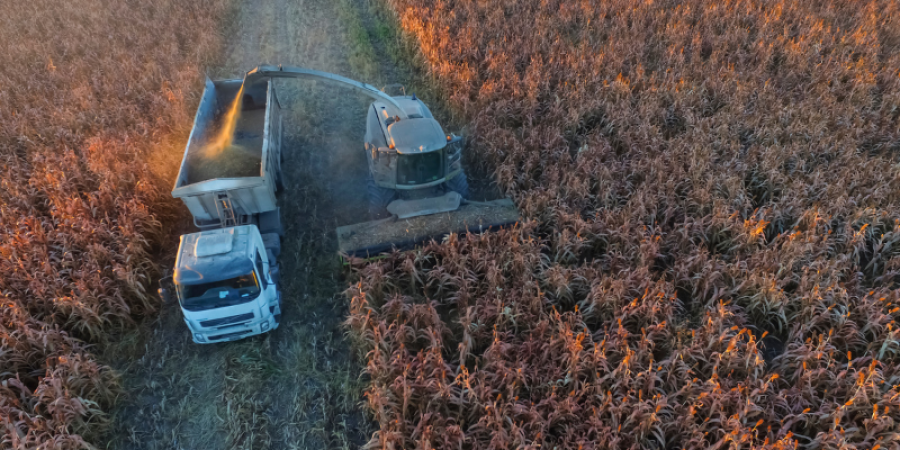 Control analítico en subproductos agrícolas: ¿qué análisis son realmente necesarios para exportar?