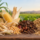Micotoxinas en subproductos agrícolas