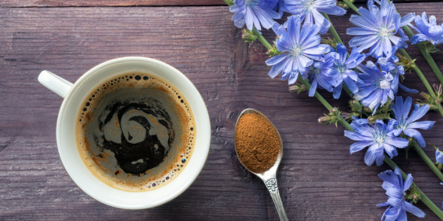 Achicoria y su relación con el café