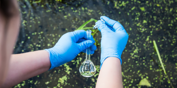 Análisis de Cianobacterias y Cianotoxinas en Cuerpos de Agua