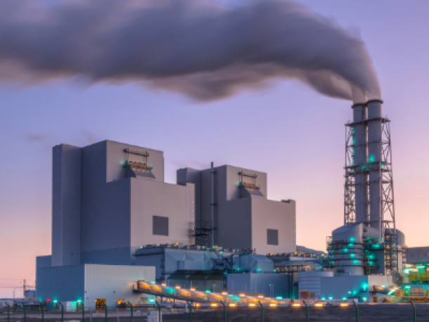 Dioxinas y sus Efectos en el Medio Ambiente y la Salud Humana