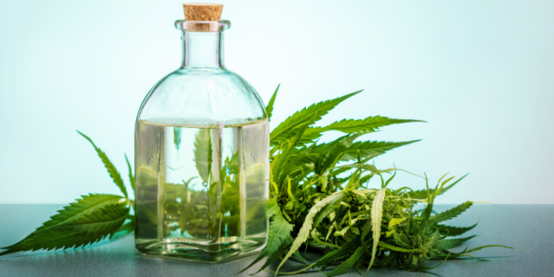 Cannabis: Beneficios y Retos en la Medicina y la Nutrición