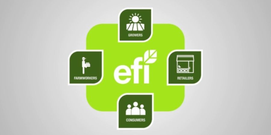 El esquema de certificación EFI: Equitable Food Initiative