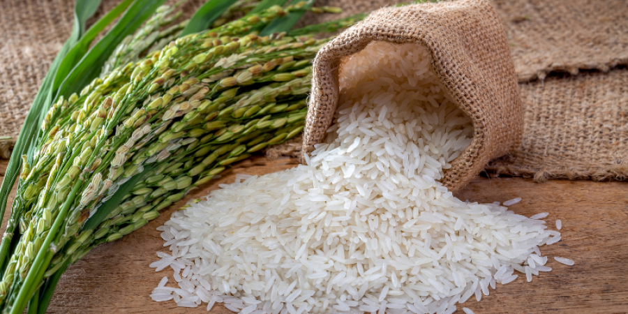Importancia del control analítico en el aprovechamiento del arroz