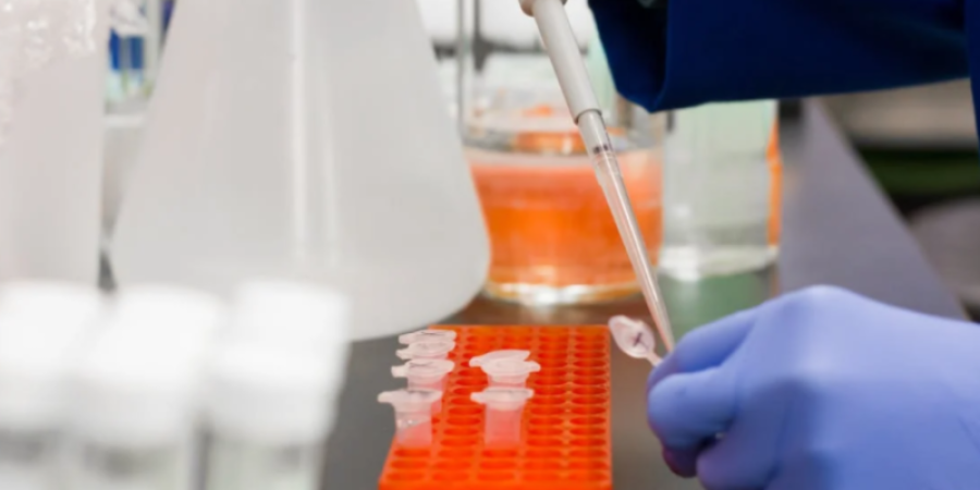 Metodologías para la identificación de alérgenos en la industria alimentaria