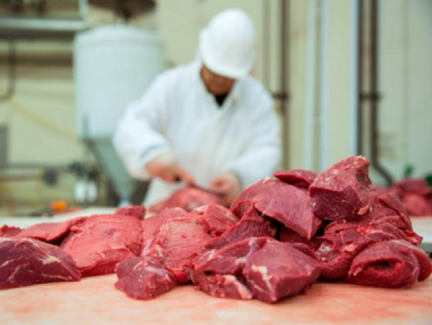 Triquinosis: Qué es y cómo prevenirla