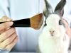 Presencia de ADN animal en productos cosméticos