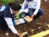 El mapa secreto del rendimiento: cómo la toma de muestras de suelo y TSI Life Science impulsan la agricultura dominicana