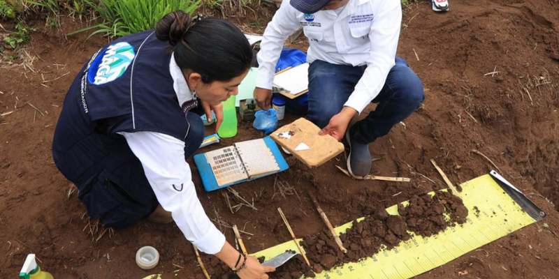 El mapa secreto del rendimiento: cómo la toma de muestras de suelo y TSI Life Science impulsan la agricultura dominicana