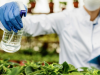 Isocicloseram: innovación agrícola