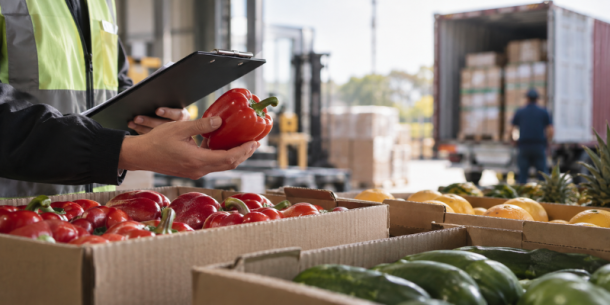 Recalls y alertas de retiro del mercado: cómo proteger sus exportaciones ante la regulación global