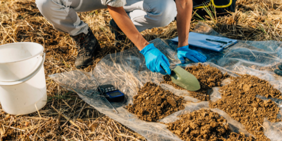 Análisis de suelos: Paso fundamental para la certificación orgánica